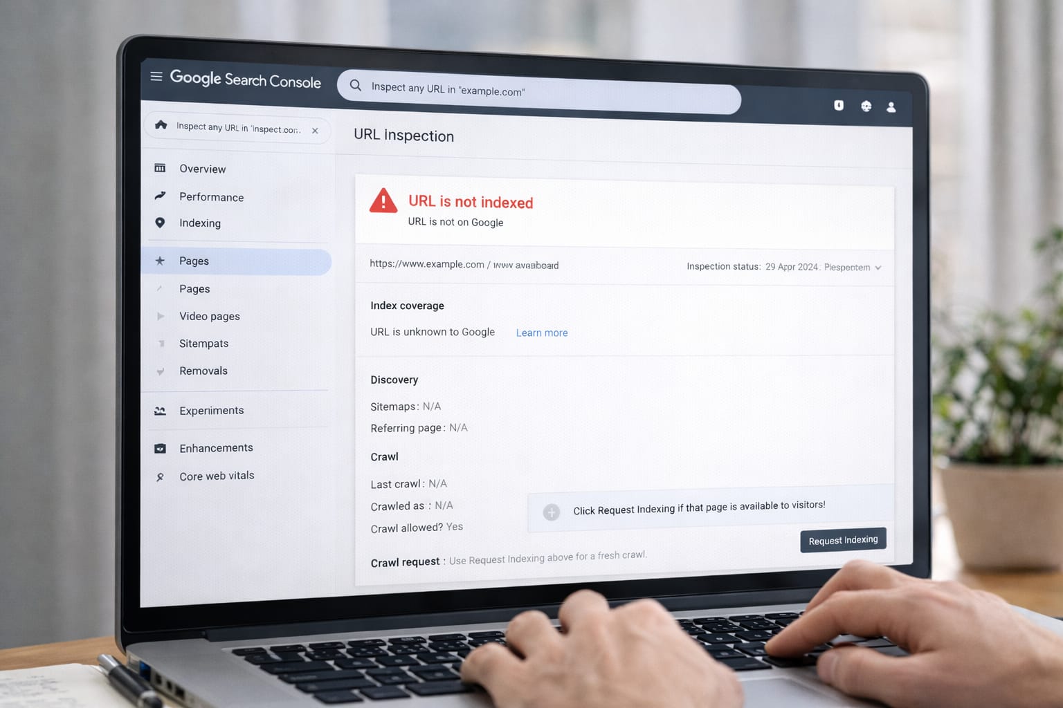 Why Google Is Not Indexing Your URL